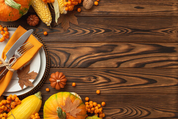 Thanksgiving day concept. Top view photo of plate knife fork napkin raw vegetables pumpkins zucchini maize rowan nut and maple leaves on isolated dark wooden table background with copyspace