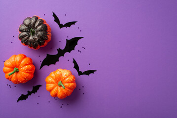 Halloween decorations concept. Top view photo of small pumpkins bat silhouettes and black confetti...