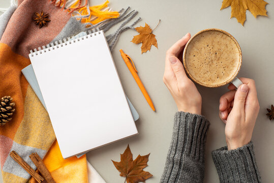First person top view photo of female hands in sweater holding cup of coffee notepad pen plaid yellow maple leaves anise pine cone and cinnamon sticks on isolated grey background with blank space