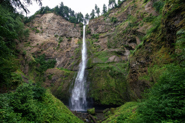 Fototapeta na wymiar Multnomah Falls in Oregon's Columbia River Gorge