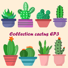 Collection of cactus with flowers on pots. Exotic plants. Natural decorative elements are separated from white.EP.3