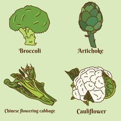 Hand drawn flat cartoon vector illustration; set of the edible flowers of certain vegetables such as broccoli, artichoke, cauliflower, Chinese flowering cabbage  isolated on light green background.