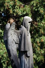 La statua in bronzo di un angelo su una tomba del cimitero maggiore di Milano
