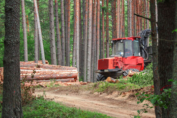 Red forest machine that clears trees in green summer forest standing near sandy road surrounded by growing tree trunks