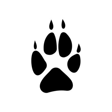 Fox, wolf animal rescue traces isolated silhouette black icon. Vector wildlife animal foot print, pet steps, pawprint tracks. Bear hunting trail of wildlife animal grey eurasian wolf paw prints