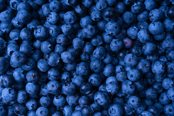 Fresh blueberry background. Texture blueberry berries close up.
