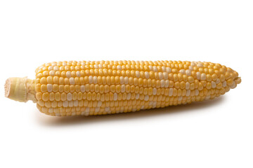 Yellow corn isolated on white background. Copyspace.