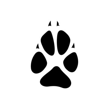 Jaguar, tiger or lion wildlife cat foot prints with claws or nails isolated black silhouette icon. Vector savanna animal steps on ground in mud, hunting sport emblem. Wild fox animal footprints