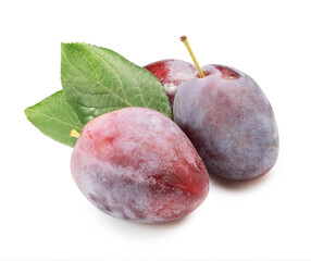 fresh plums with leaves isolated on white. natural view. the entire image in sharpness.
