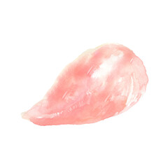 水彩で描いた鶏の胸肉のイラスト