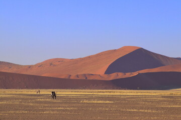 Sussavei red dunes