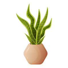 A vector illustration of snake plant in a dark beige pot