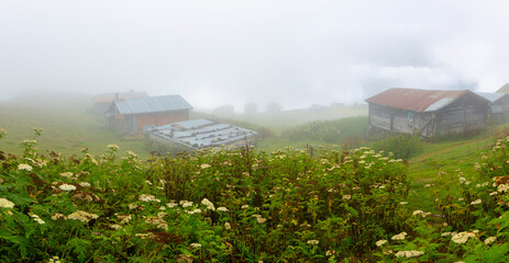 SAL PLATEAU in Camlihemsin district of Rize province. Kackar Mountains region. Rize, Turkey.