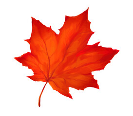写実的なカエデの葉のイラスト