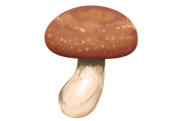 写実的なキノコのイラスト