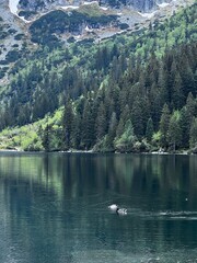 Polish Tatra Mountains - Morskie Oko © Paulina