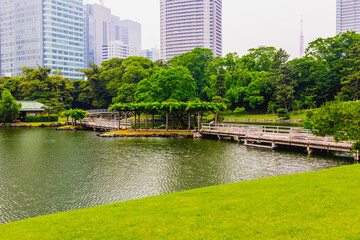 浜離宮恩賜公園の景色