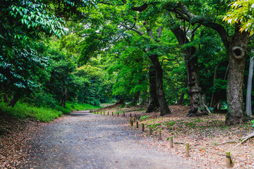 Fototapeta premium 浜離宮恩賜公園の景色