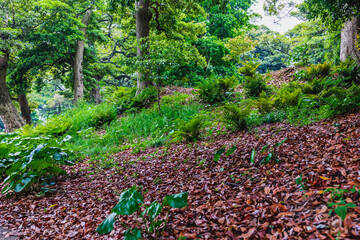 浜離宮恩賜公園の景色