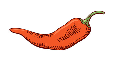 red chili pepper, color drawing, hatching