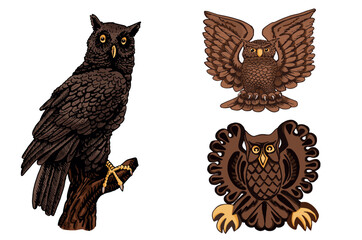 Vector color set of owls isolated on white background, graphical brown night bird,illustration.Symbol of knowledge 