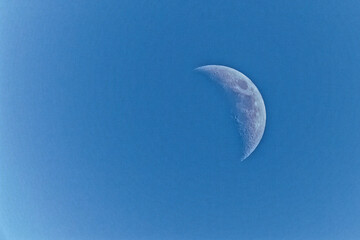 lune