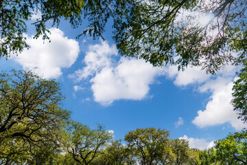 brackenridge park, san antonio