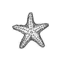 Sea star marine creature isolated coral reef icon. Vector sea-star aquarium and sea bottom decoration, invertebrate animal in sea or ocean