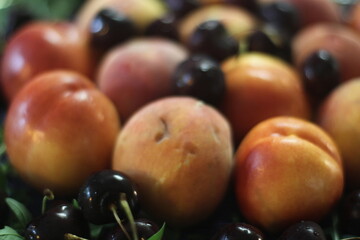 Peaches, nectarines, cherries on arugula leaves