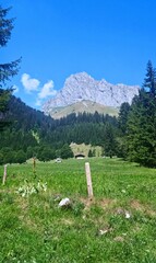 Grande Travers&eacute;e des Alpes