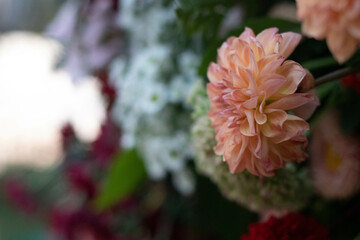 red and yellow flowers