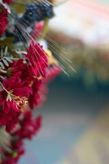 Naklejka premium flowers in the garden