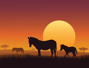 Fototapeta na wymiar horses on sunset