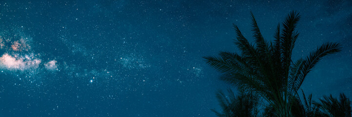 Fototapeta na wymiar The moon shines at night over palm trees on the sea