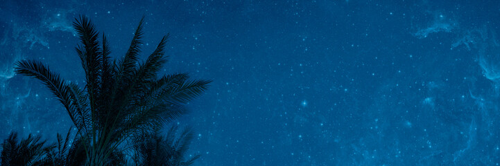 The moon shines at night over palm trees on the sea - Powered by Adobe