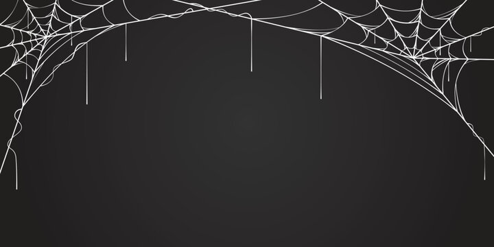 spider web background, halloween template