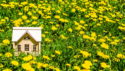 The symbol of the house stands among the yellow dandelions
