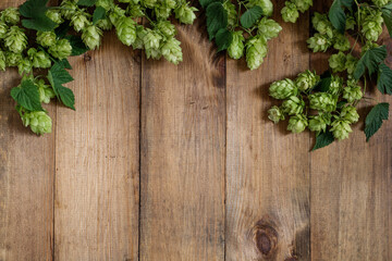 Wooden background. Fresh green hops hanging from above on rustic old wooden planks. Copy space.