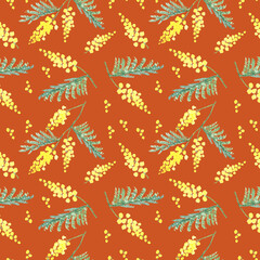 Fototapeta premium Seamless pattern with Acacia dealbata