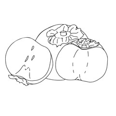 Vector illustration of persimmon fruit with pieces of fruit. Contour illustration. doodles