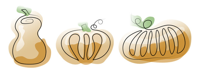 Set of thee different pumpkin vegetable in outline art. Vector illustration in flat style.