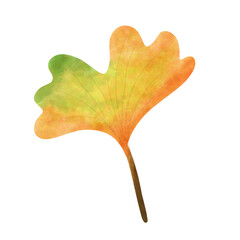 Fototapeta premium autumn leaf 