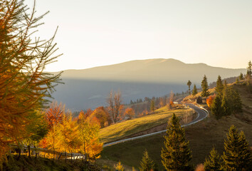 The colors and texture of autumn in beautiful sceneries, landscape, flowers and leaves
