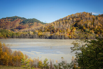 The colors and texture of autumn in beautiful sceneries, landscape, flowers and leaves

