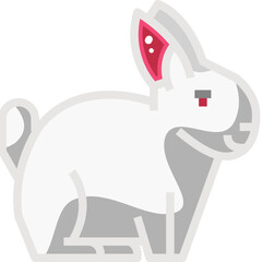 Fototapeta premium rabbit
