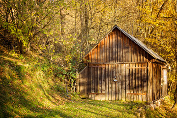 The colors and textures of autumn season in beautiful sceneries, landscape, flowers and leaves