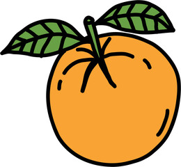 doodle freehand sketch drawing of orange fruit.