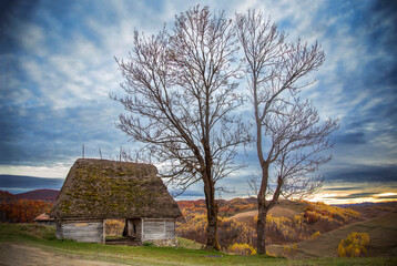 The colors and textures of autumn season in beautiful sceneries, landscape, flowers and leaves