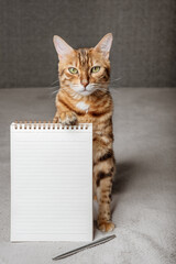 Bengal cat holding an open notepad with its paw.