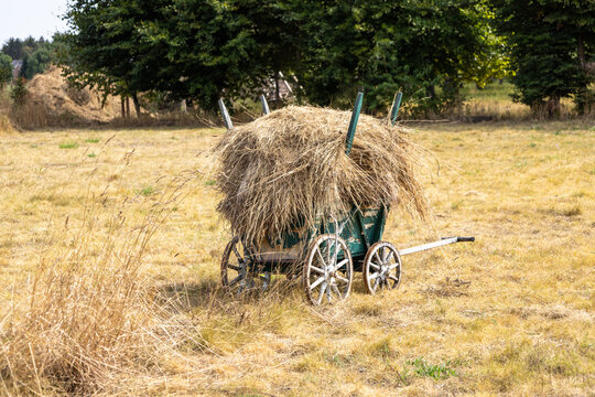 Mahd Bilder Durchsuchen 358 Archivfotos, und Videos